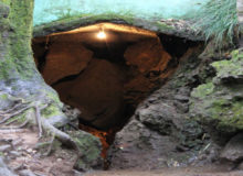 Eco Cave Garden Nainital