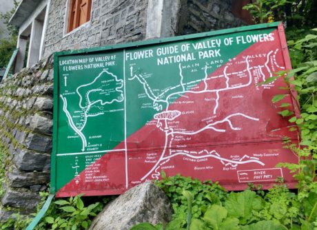 Valley Of Flowers National Park